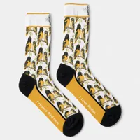 Brilliant Baltimore Oriole Bird Socks