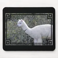 Mousepad - Frame for Your Image