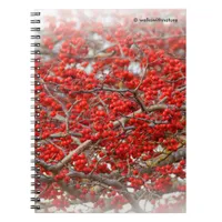 Bright Red Winterberries Holly Tree Berries Notebook