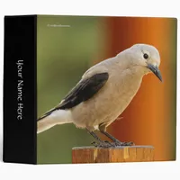 A Hopeful Clark's Nutcracker 3 Ring Binder