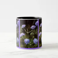 Wildflower: Field Scabious Two-Tone Coffee Mug