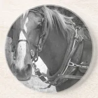 Buggy Horse at the Hitching Post Sandstone Coaster