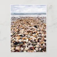 Krabi Thailand | Seashells on the Seashore Postcar Postcard