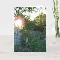 Abandoned Grain Bins Card