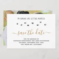 My Humans Getting Married Pet Photo Wedding Save The Date