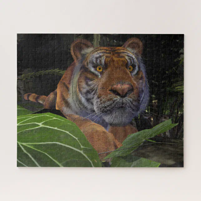 Tiger Crouching in the Jungle