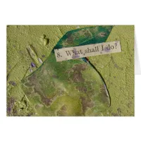 What Shall I Do Collage