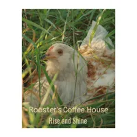 Rooster in Hay Meadow Coffee Shop Kitchen Decor