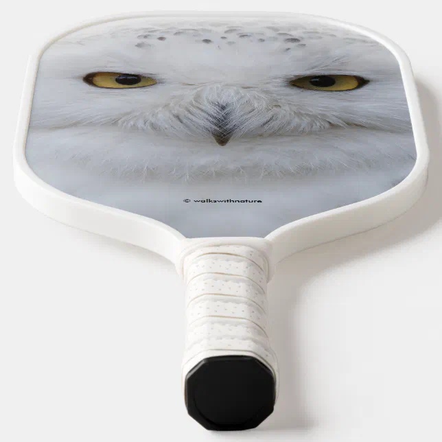 Beautiful, Dreamy and Serene Snowy Owl Pickleball Paddle