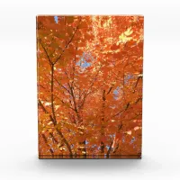 Pretty Orange Fall Leaves  Photo Block