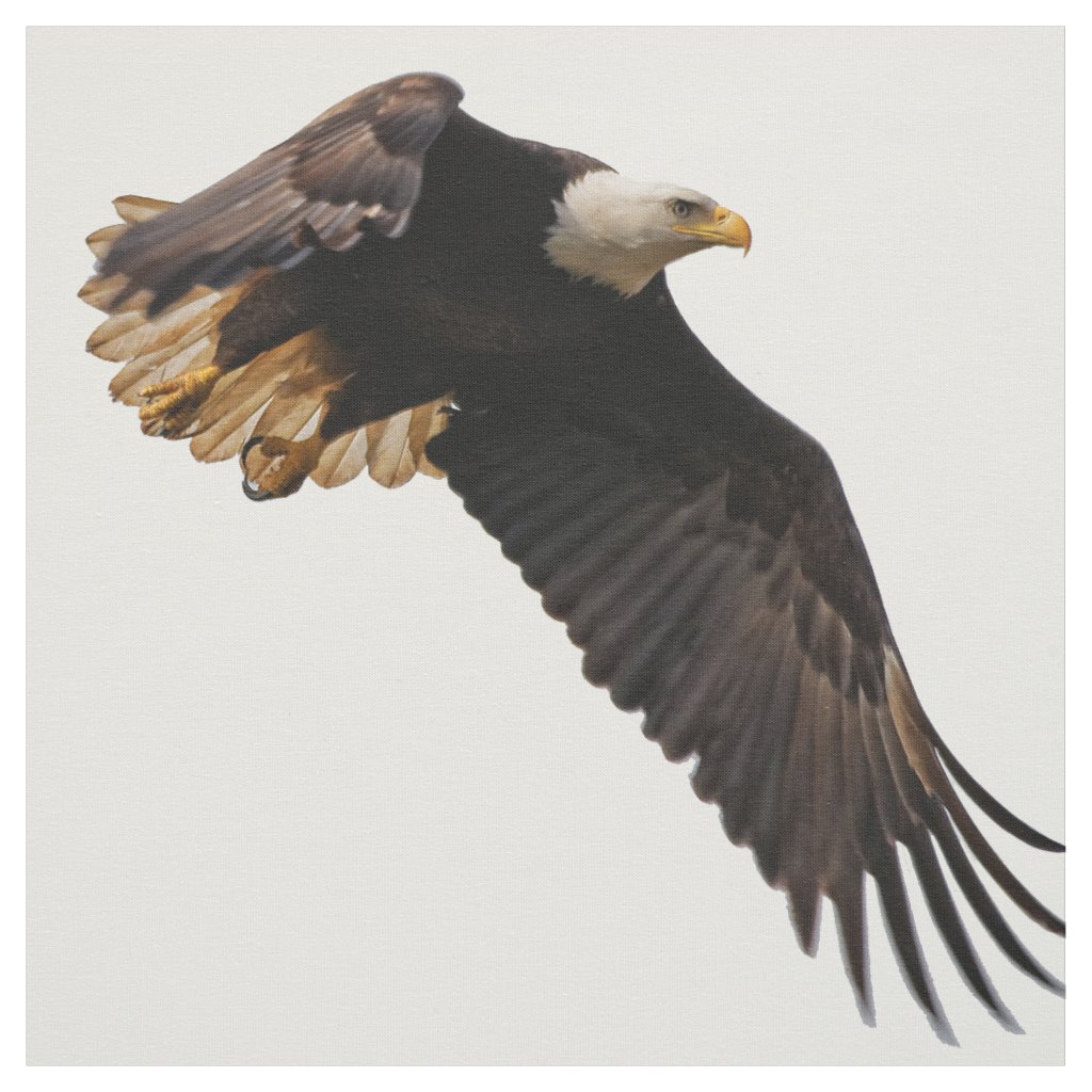 A Bald Eagle Takes to the Sky Fabric