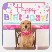 Happy Birthday Dog Party with My Dawg Square Sticker