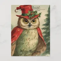 Vintage Christmas Owl Collage  Postcard