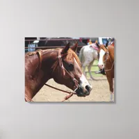 At The Horse Show Canvas Print