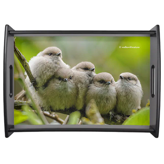 Heartwarming Cute Bushtits Songbirds Family Photo Serving Tray