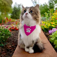 Cute Identity Personalized Cat or Dog's  Pet Bandana Collar