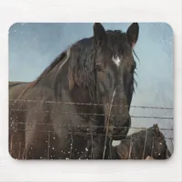 Draft Horses in a pasture Mouse Pad
