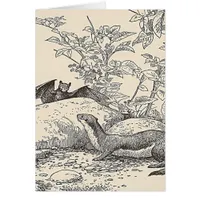 The Bat and The Mink