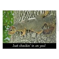 Cute Squirrel Checking in on You Card