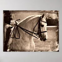 Dressage Horse Grunge Poster