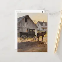 Amish Horse and Buggy  Postcard