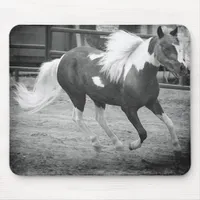 Mini Horse Gallops Mouse Pad