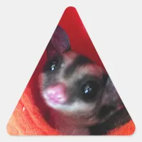 Sugar Glider in Orange Hanging Bed Triangle Sticker