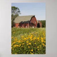 Red Barn and Yellow Wildflowers Poster