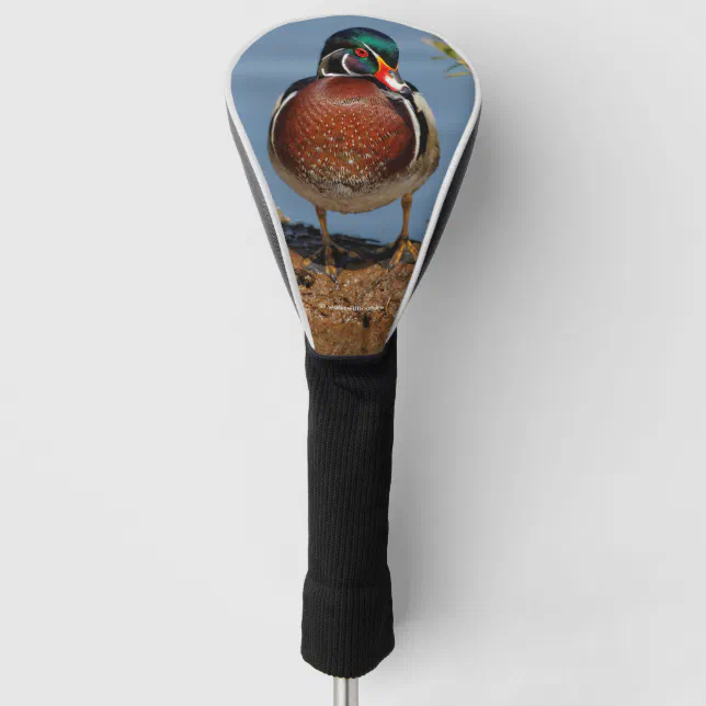 Beautiful Pensive Wood Duck in the Marsh Golf Head Cover