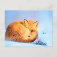 *~* Red Fox Ap18 Artistic  Painting Wildlife Artsy Postcard