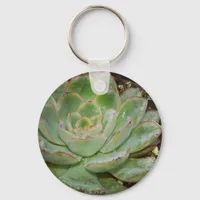 Succulent, Hen and Chicks Keychain