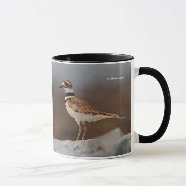 Closeup of a Killdeer Mug