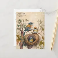 Spring Birds Vintage Ephemera Postcard
