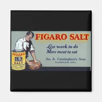 Figaro Salt Ad Washington,IA Magnet