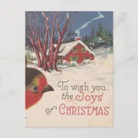 Vintage Christmas Winter Bird Holiday Postcard