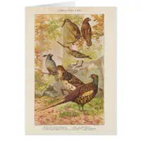 Pheasant and Game All Occasion Blank Greeting Cards