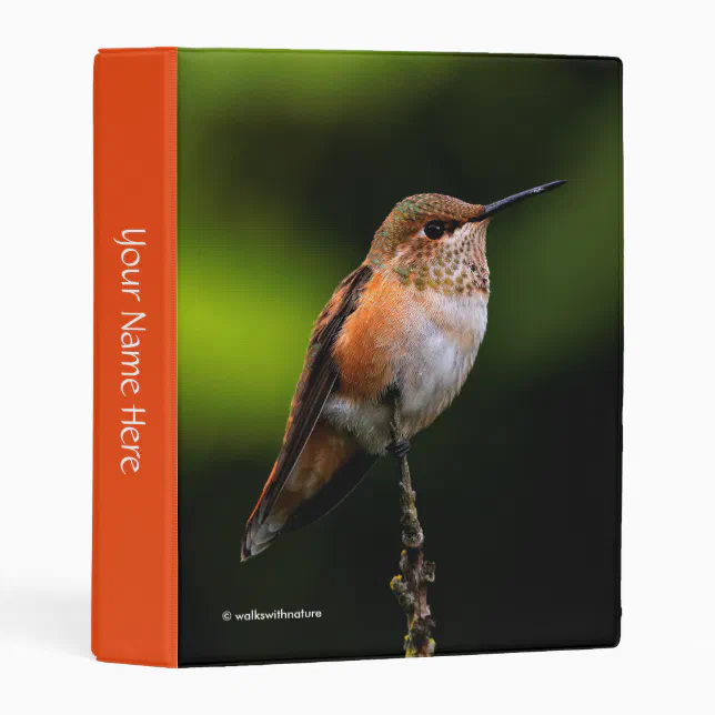 Adorable Rufous Hummingbird on Branch Mini Binder