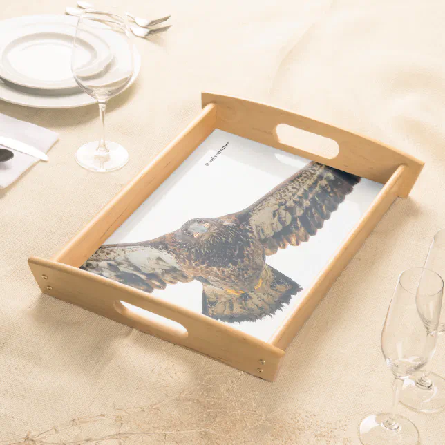 Stunning Bald Eagle Does a Flyover Serving Tray