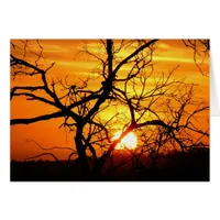 Sunset Entwined Card