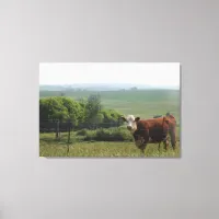 Midwest Photography | Beautiful Cow and Scenery Canvas Print