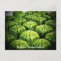 Square Watermelon Postcard