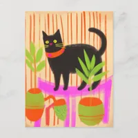 Adorable Black Cat Postcard
