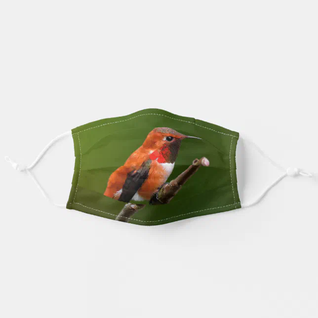 Stunning Rufous Hummingbird on the Cherry Tree Adult Cloth Face Mask