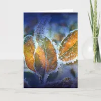 Winter's Chill all occasions Card