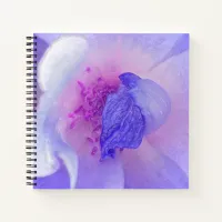 *~* Chic Digitally Modified Rose from Pink to Blue Notebook