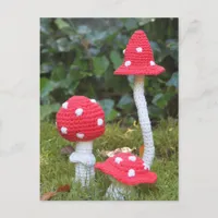 Mushrooms Postcard