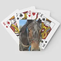At the Library, Amish Horse and Buggy Poker Cards