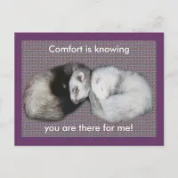 Sweet Dreams Ferrets Postcard