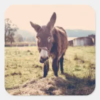 Cute Donkey Sticker