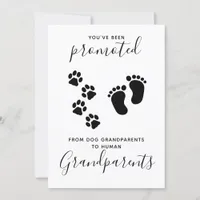 Grandparents You've Been Promoted Dog Pregnancy Announcement
